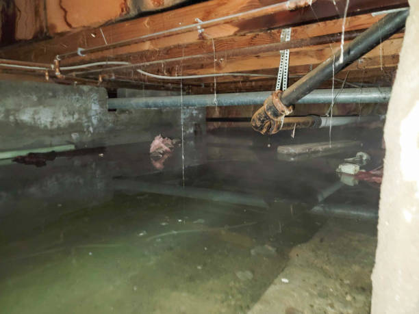 Trusted Amelia Court House, VA Water damage restoration Experts