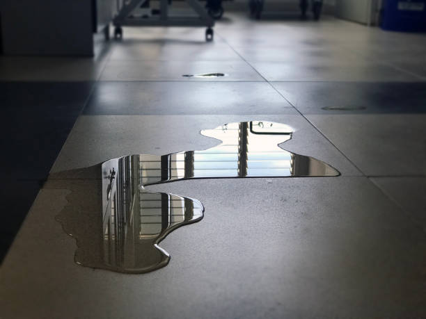 Best 24/7 water damage repair  in Amelia Court House, VA